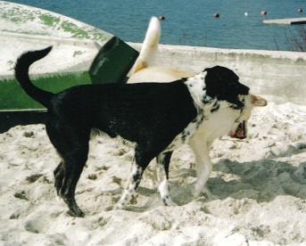 Bonnie mit ihrem Freund Lucky