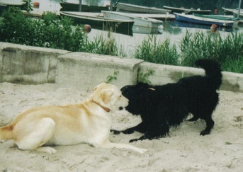 Bonnie und Sammy