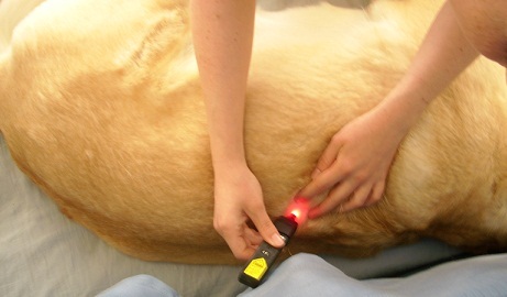 Lasertherapie