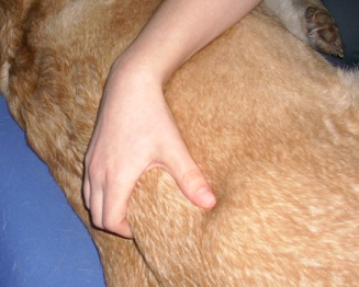 Dorntherapie