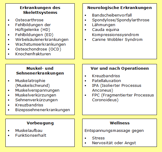 Erkrankungen