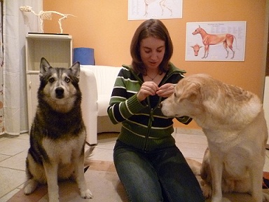 Kerstin mit ihren Hunden